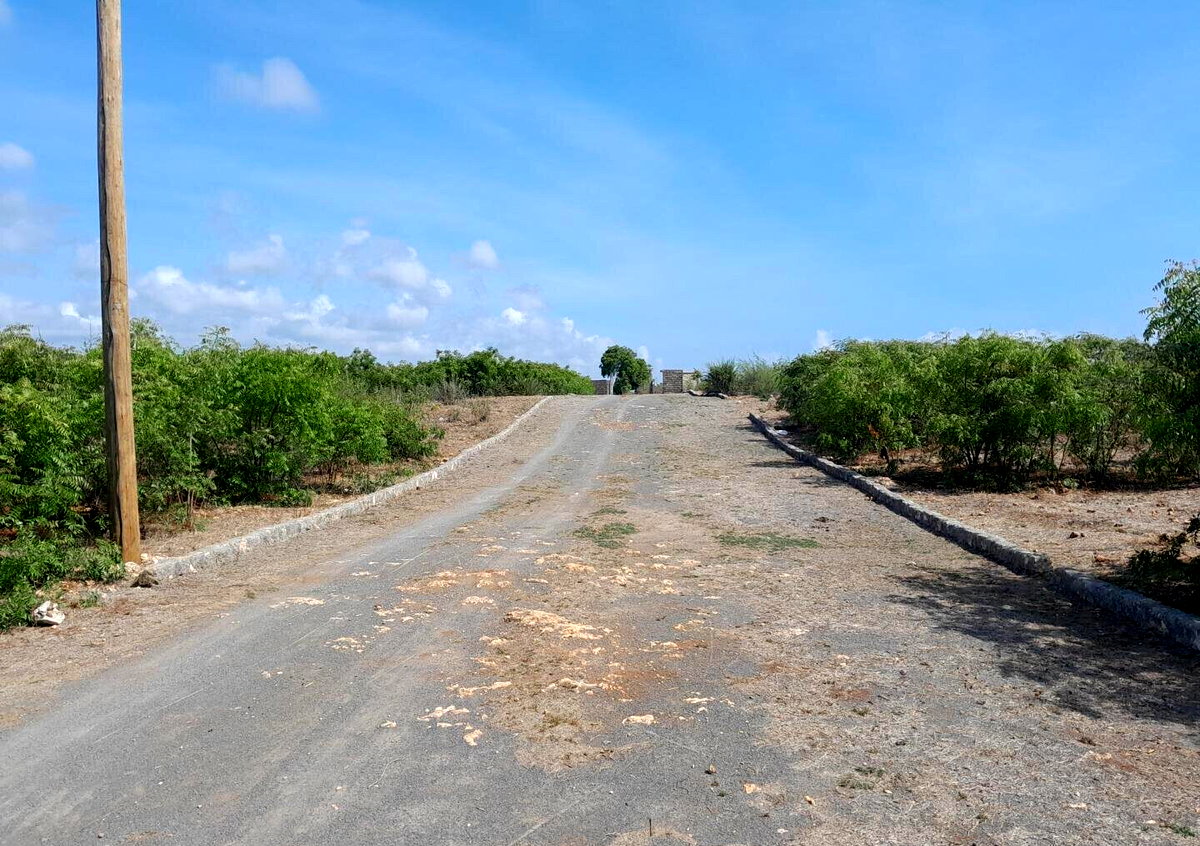 Quarter Acre Beach Plot for KSh 4.5M