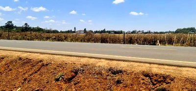 Prime Plots for Sale Touching Tarmac Marura Eldoret - Image 1