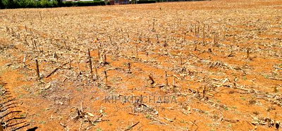 Prime Plots for Sale Touching Tarmac Marura Eldoret - Image 4
