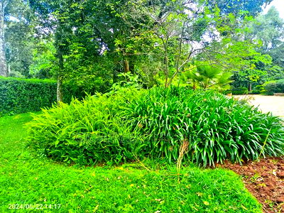 6bdrm Bungalow in Karen for rent - Image 4