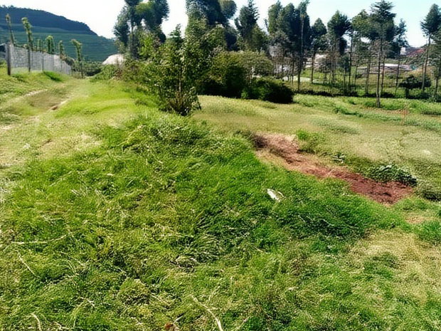 Limuru Kabuku 50 by 100 Plots for Sale
