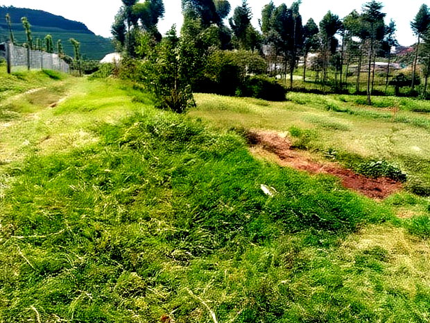 Limuru Kabuku 50 by 100 Plots for Sale