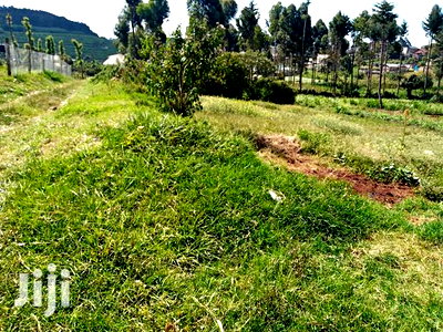 Limuru Kabuku 50 by 100 Plots for Sale - Image 2
