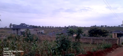 0.3 Acre Plot with Garden in Makongeni