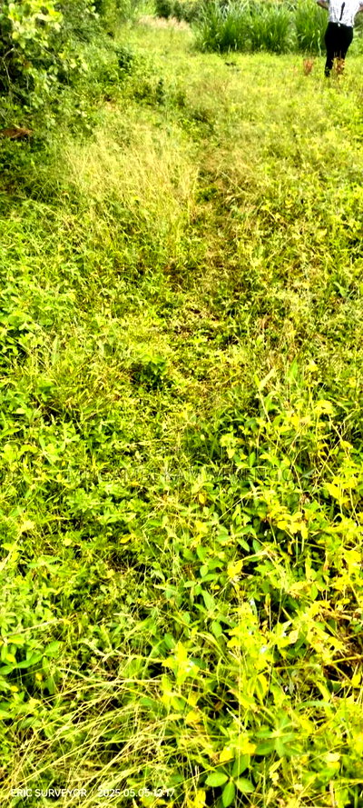 Bungalow 3 Bedroom - Image 7