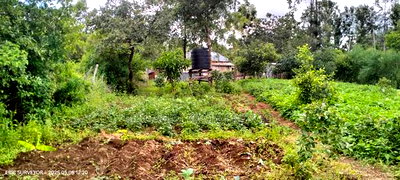 Bungalow 3 Bedroom - Image 4