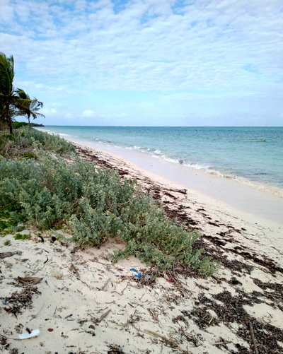 3.75-Acre Watamu Gem at KSh 60M