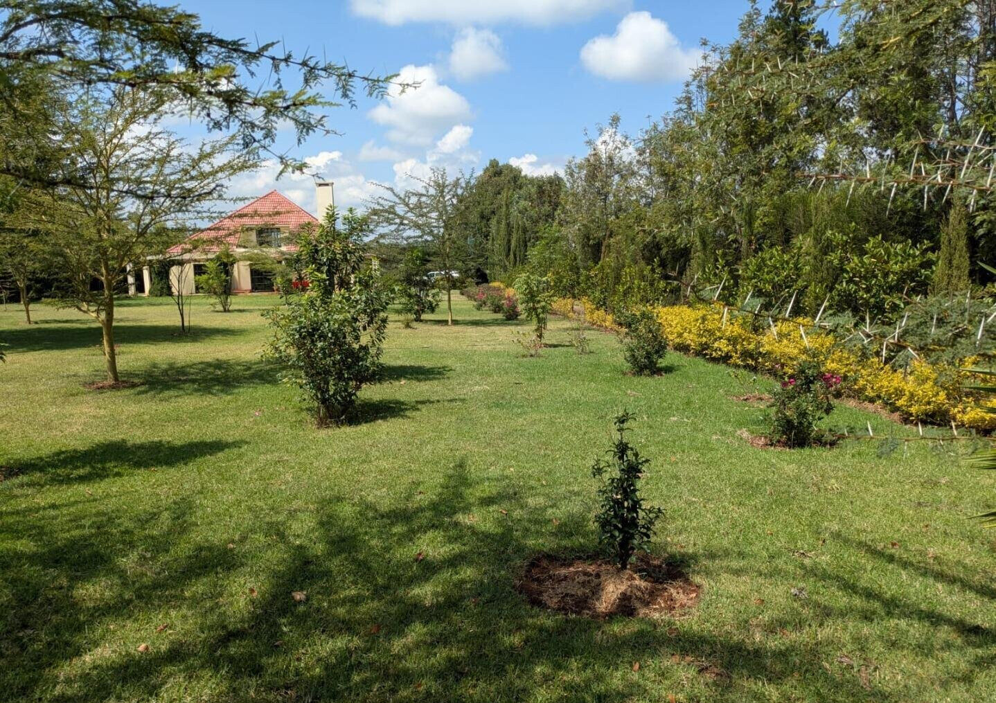 2BR Garden Home for KSh 200K