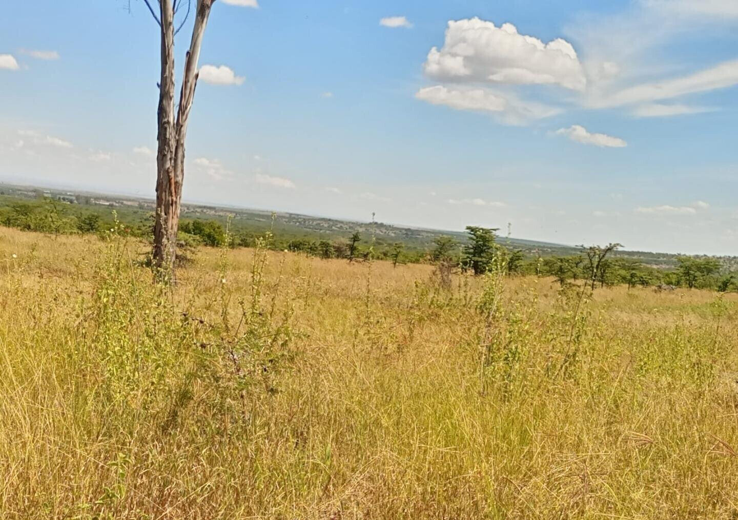 230-Acre Land with Mt Kenya Views