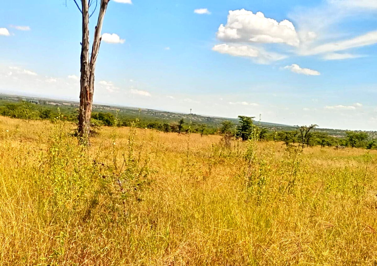 230-Acre Land with Mt Kenya Views