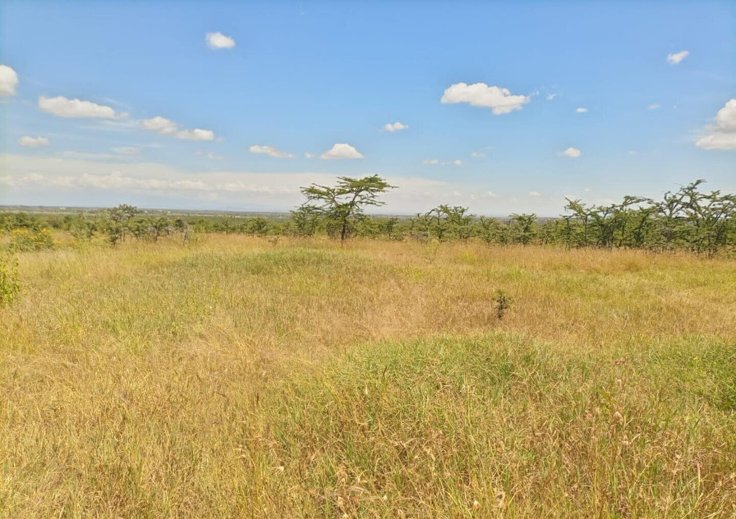 230-Acre Land with Mt Kenya Views