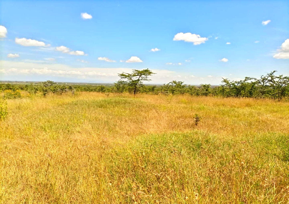 230-Acre Land with Mt Kenya Views