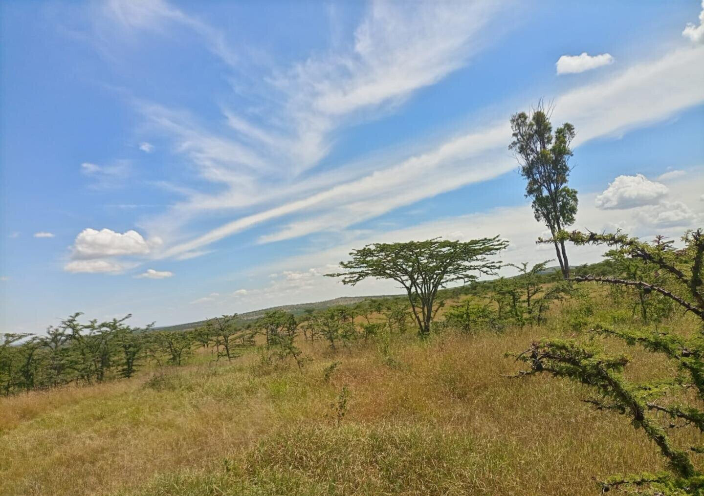230-Acre Land with Mt Kenya Views