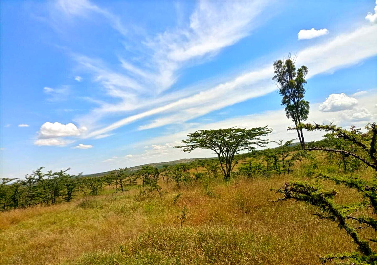 230-Acre Land with Mt Kenya Views