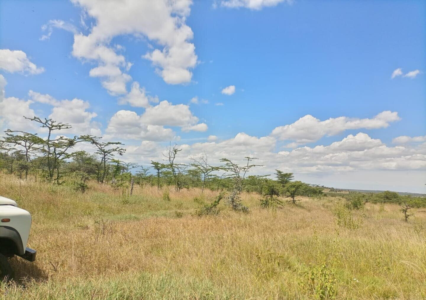 230-Acre Land with Mt Kenya Views