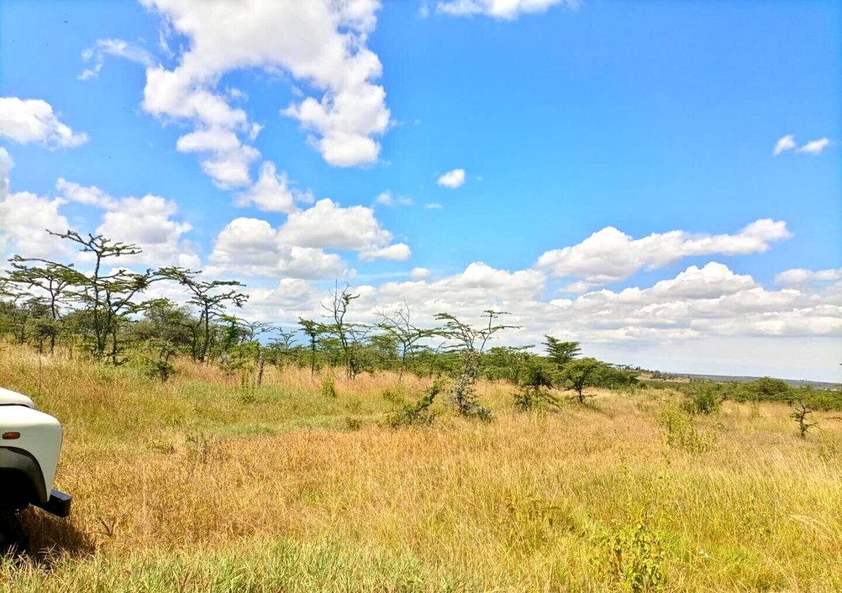 230-Acre Land with Mt Kenya Views
