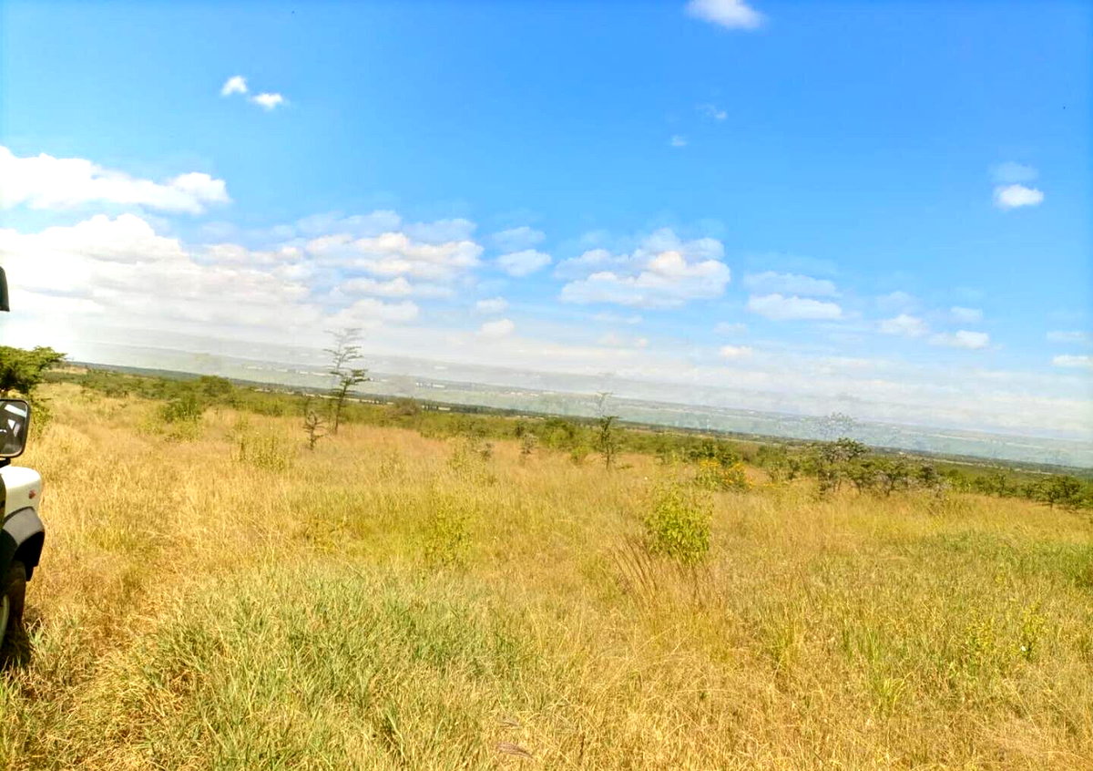 230-Acre Land with Mt Kenya Views