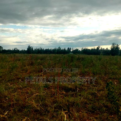 Exclusive 2 Acres for Sale in Chergei Kabarak - Image 1