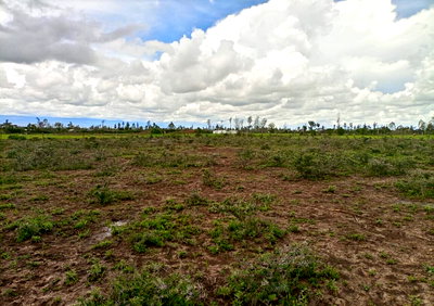 2-Acre Land at KSh 2M - Laikipia