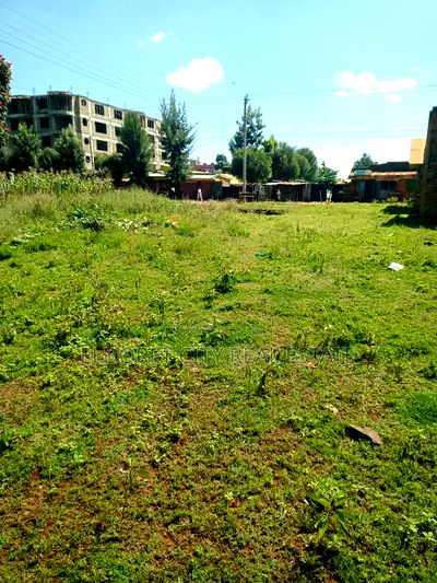 1/4 Plot Kimumu With Title - Image 1