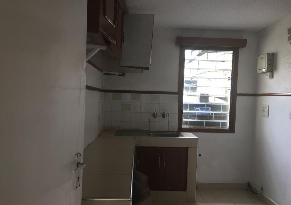 Newly Renovated 3BR Maisonette with DSQ & Backyard - South C