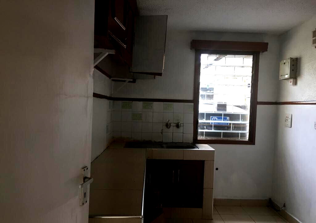 Newly Renovated 3BR Maisonette with DSQ & Backyard - South C