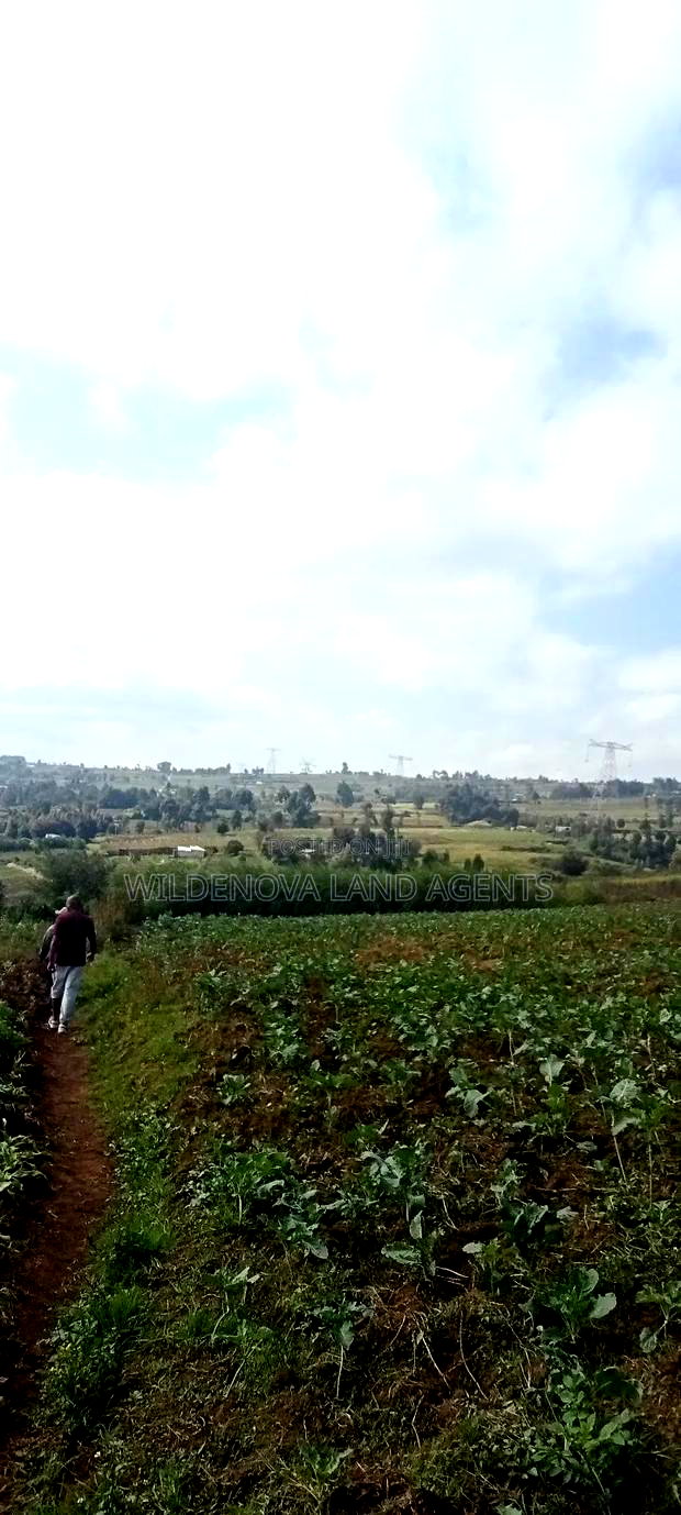 Land on Sale at Kahuho Flyover Naivasha