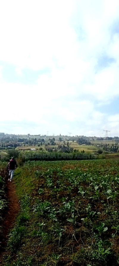 Land on Sale at Kahuho Flyover Naivasha - Image 1