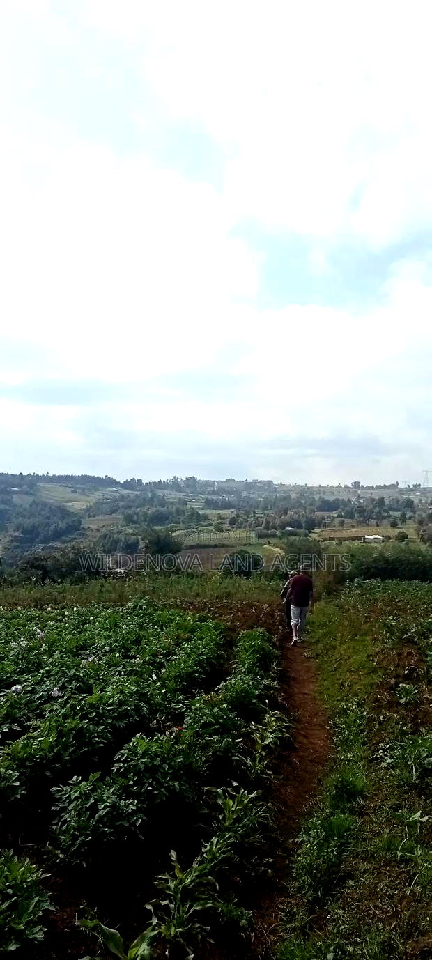 Land on Sale at Kahuho Flyover Naivasha
