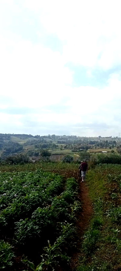 Land on Sale at Kahuho Flyover Naivasha - Image 2