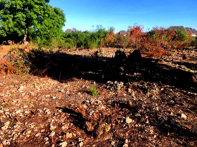 1 Acre Prime Land Next to Rafiki Tamu Villas - Image 5