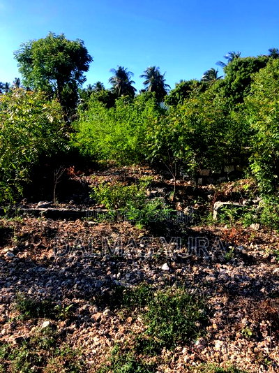 1 Acre Prime Land Next to Rafiki Tamu Villas - Image 2