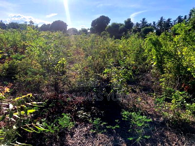 1 Acre Prime Land Next to Rafiki Tamu Villas - Image 4