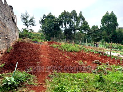 Prime Plot for Sale in Lower Kabete - Image 9