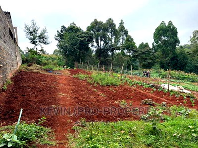 Prime Plot for Sale in Lower Kabete - Image 4