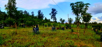 2 Acres for Sale at Makuyu - Image 6