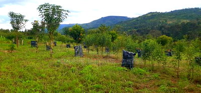 2 Acres for Sale at Makuyu - Image 4