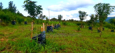 2 Acres for Sale at Makuyu - Image 5
