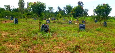 2 Acres for Sale at Makuyu - Image 8