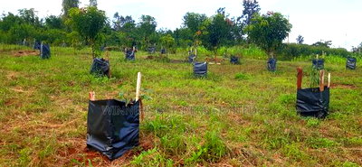 2 Acres for Sale at Makuyu - Image 7