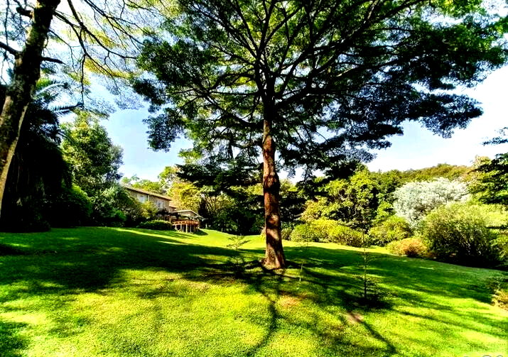 5BR Garden Oasis at KSh 610K