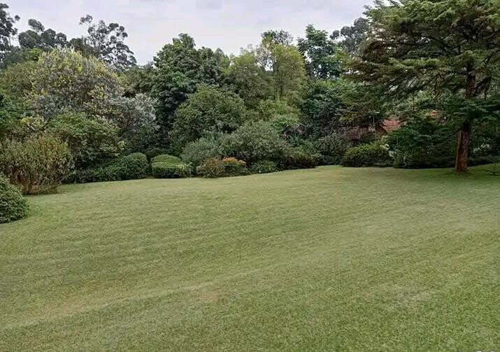 5BR Garden Oasis at KSh 610K