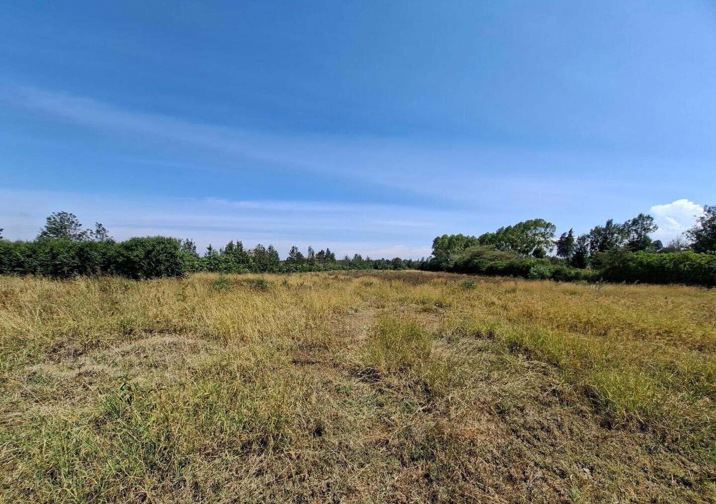 4-Acre Land at KSh 4.5M per Acre