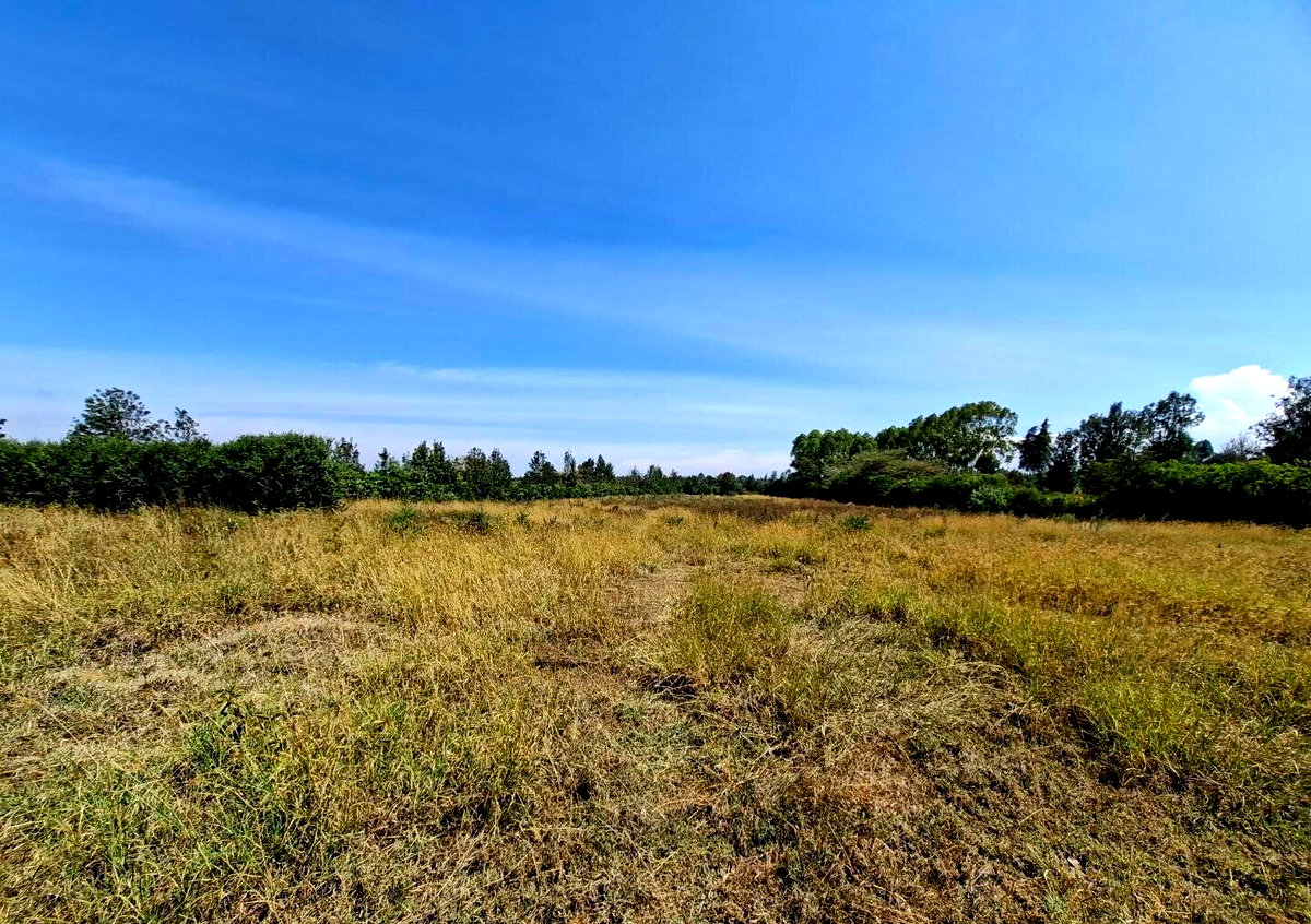 4-Acre Land at KSh 4.5M per Acre