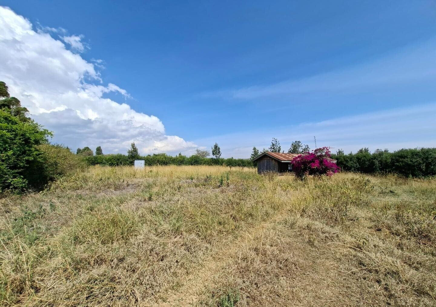 4-Acre Land at KSh 4.5M per Acre