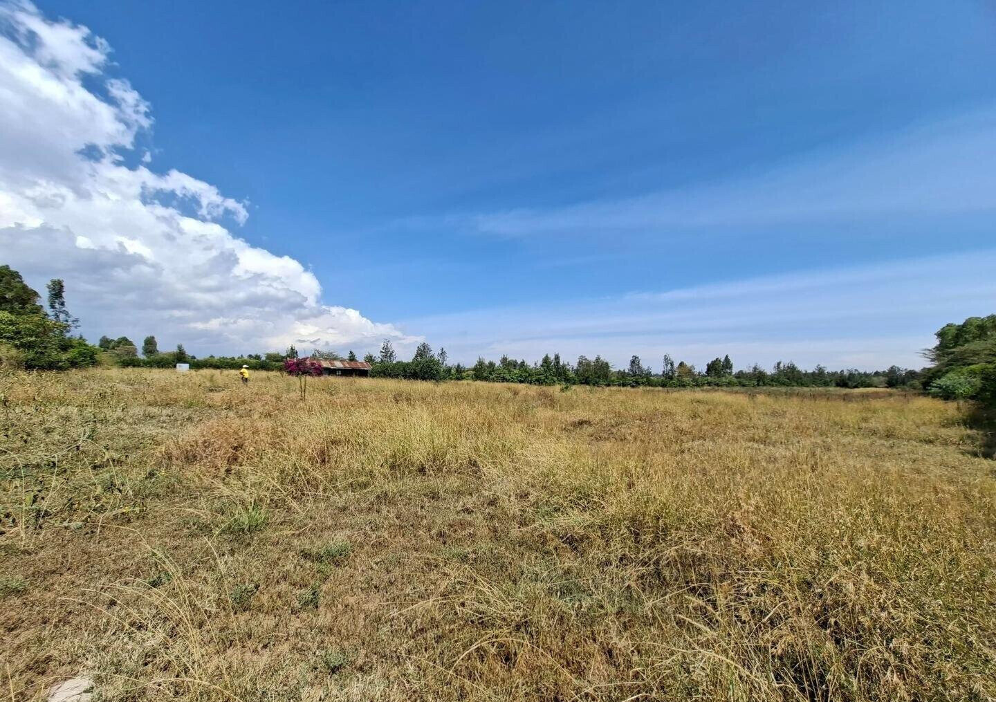 4-Acre Land at KSh 4.5M per Acre