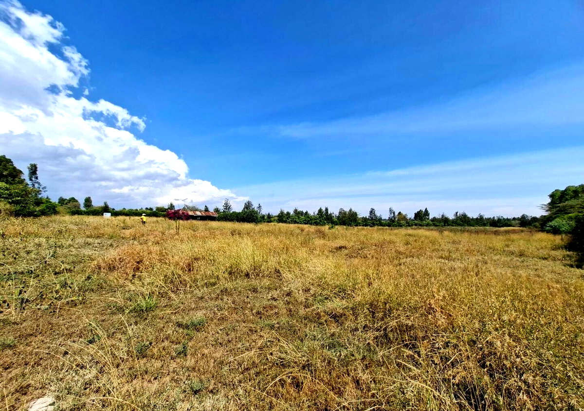 4-Acre Land at KSh 4.5M per Acre