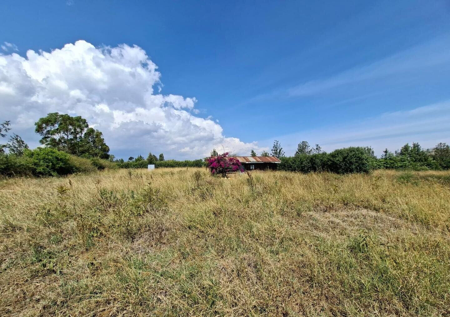 4-Acre Land at KSh 4.5M per Acre