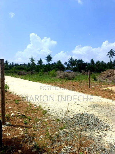 1/8th Acre Affordable Beach Plots for Sale in Kilifi - Image 5