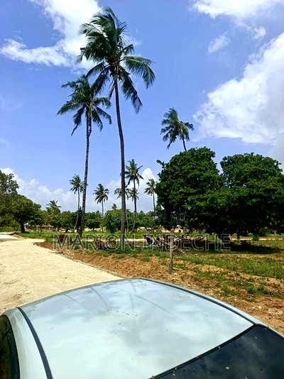 1/8th Acre Affordable Beach Plots for Sale in Kilifi - Image 1